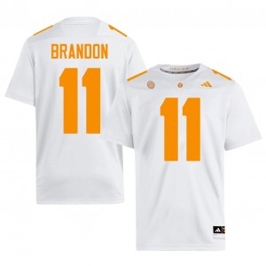 Faizon Brandon Tennessee Vols #11 White Men Football Jersey | Stitched NCAA Licensed Gear 94455448